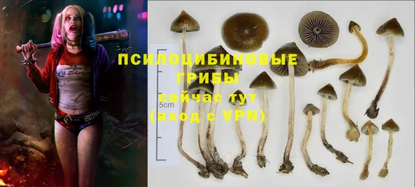 2c-b Медвежьегорск