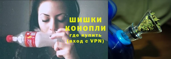 герыч Мегион