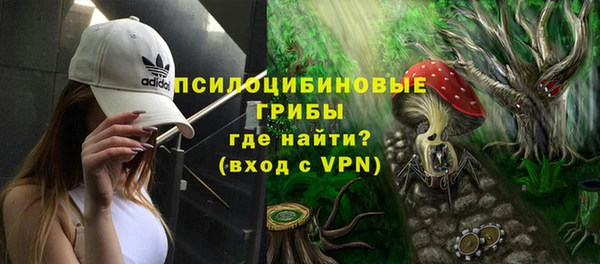 герыч Мегион