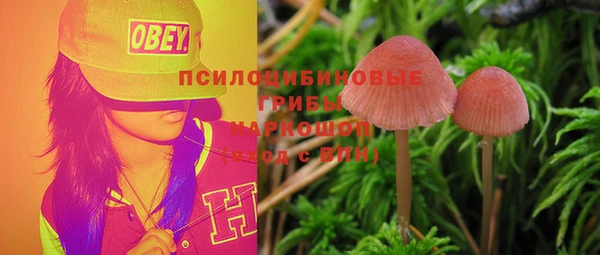 2c-b Медвежьегорск