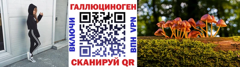 Псилоцибиновые грибы мицелий  Смоленск 
