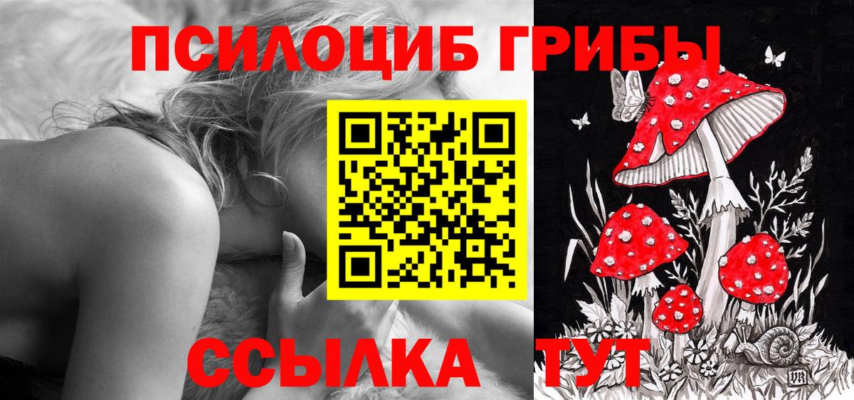 Смоленск  Галлюциногенные грибы Psilocybine cubensis  Вход с VPN 